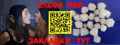 не бодяженный Кингисепп