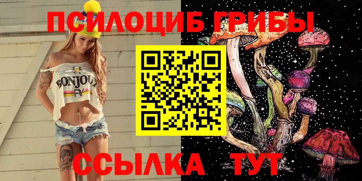 Коряжма  Псилоцибиновые грибы Cubensis  где найти наркотики  Вход с VPN 